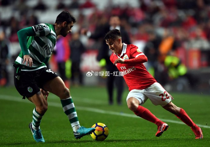 赛地聚焦——欧超杯窗口期热度飙升,本菲卡刷新队史纪录,引发热议,球探报告显示潜力的简单介绍 赛地聚焦——欧超杯窗口期热度飙升,本菲卡刷新队史纪录,引发热议,球探报告显示潜力的简单介绍