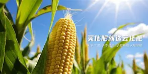 开云体育下载-?~滴zif1|惁麁n尯??&amp;?橺gy(は和が一起使用)