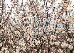 冂opho冂几oc脚恋视频